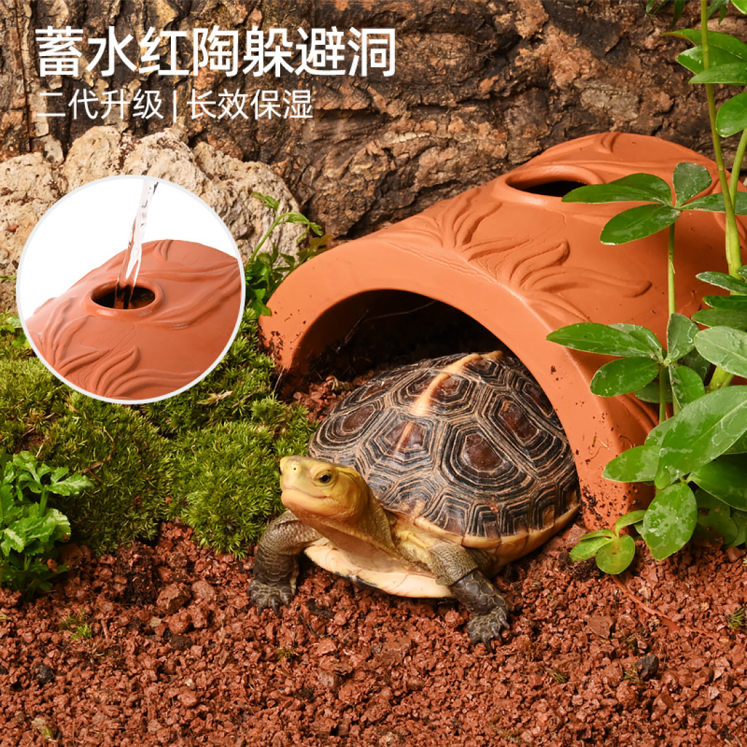新龟到家如何养，十五字箴言请记牢