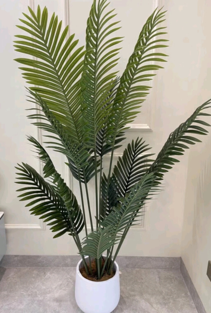 盆栽