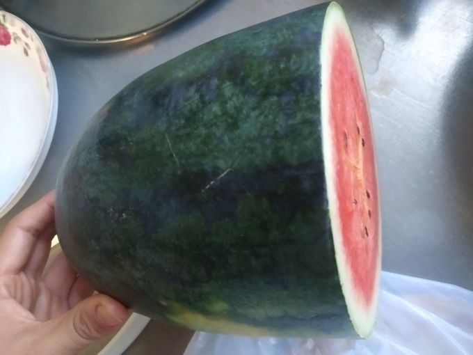 绿养道新鲜水果