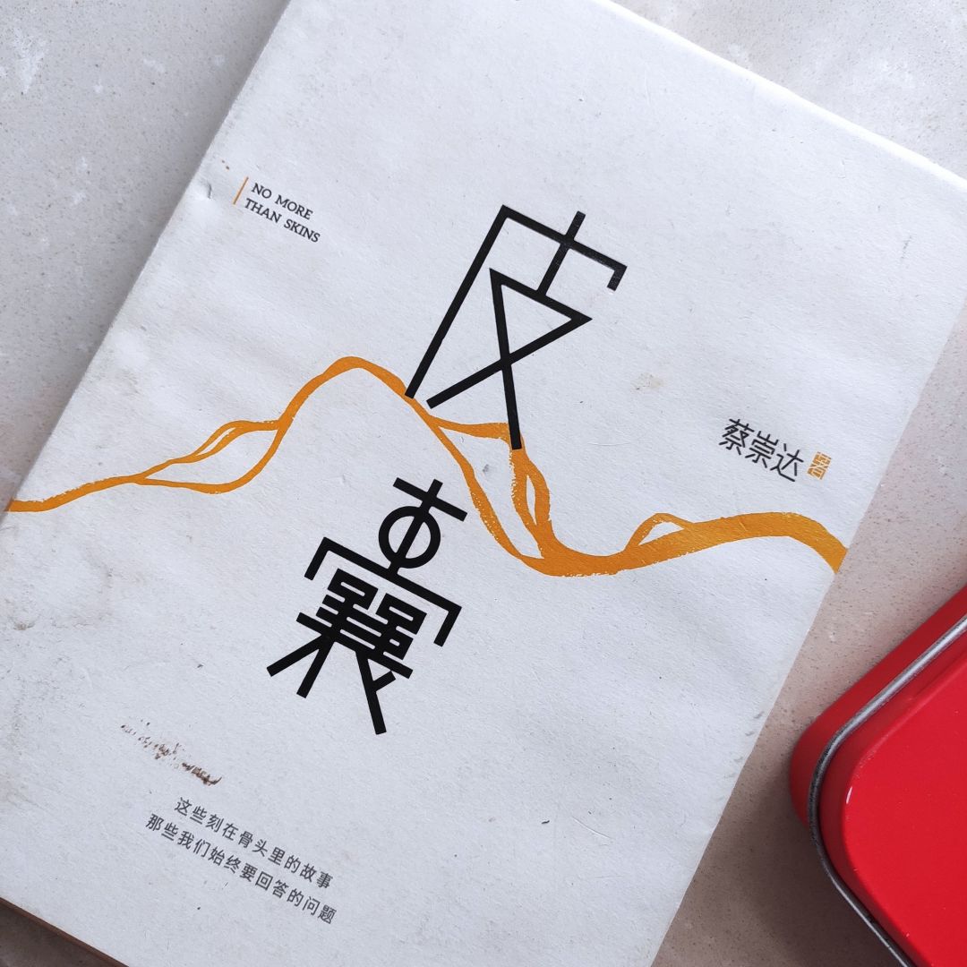 皮囊小说 什么值得买
