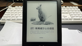 给Kindle paperwhite 换电池