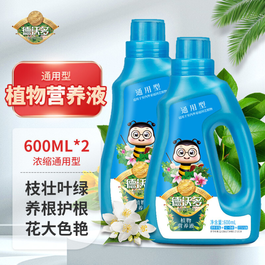 颜值在线，简单好养，寓意吉祥的水培植物，小白也可以轻松养好
