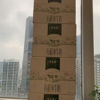 33一箱的特仑苏有机纯牛奶真香