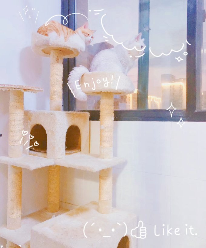 华元宠具猫爬架