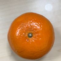沃柑