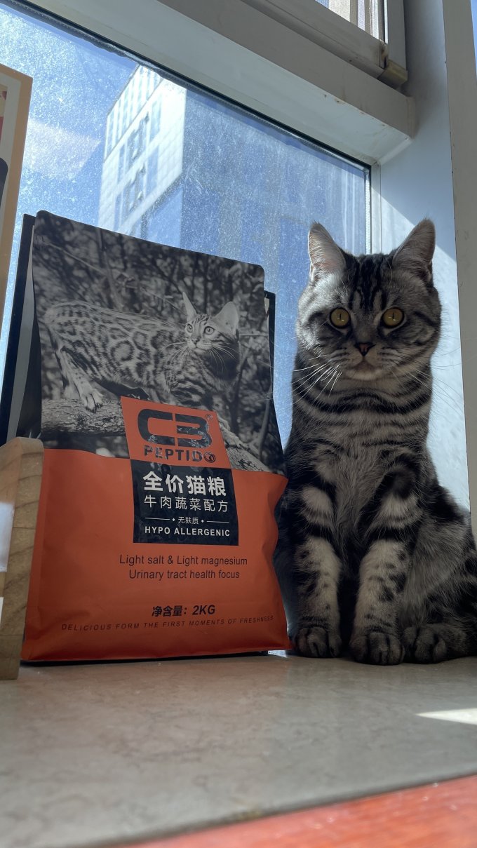 帕缇朵猫粮