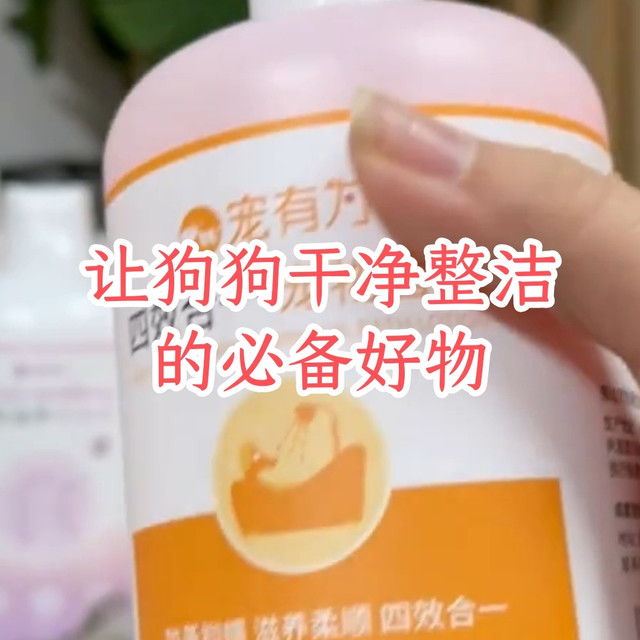 让狗狗干净整洁的必备好物