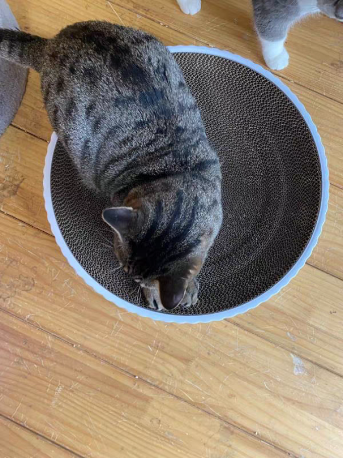 宠袋猫抓板