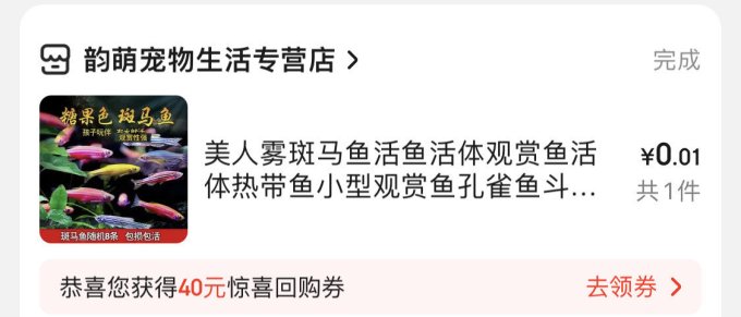 画法几何水族