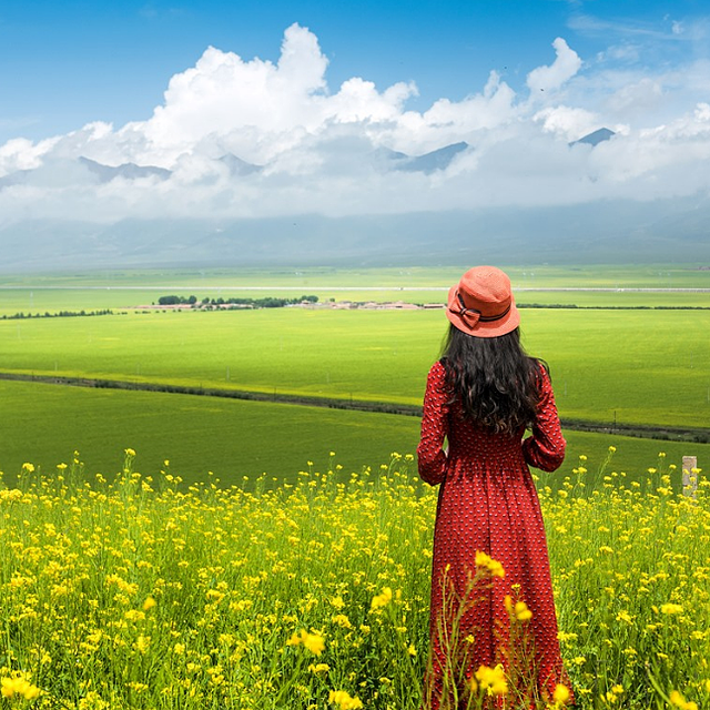 微信支付宝的信用卡消费都有积分吗？网付积分总结；怎么查询刷卡是否有积分