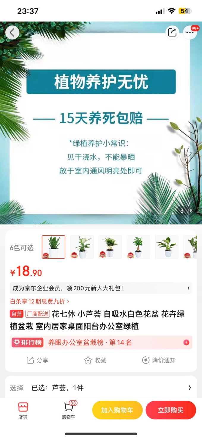 花七休盆栽