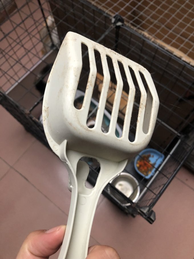 派乐特其他宠物日用