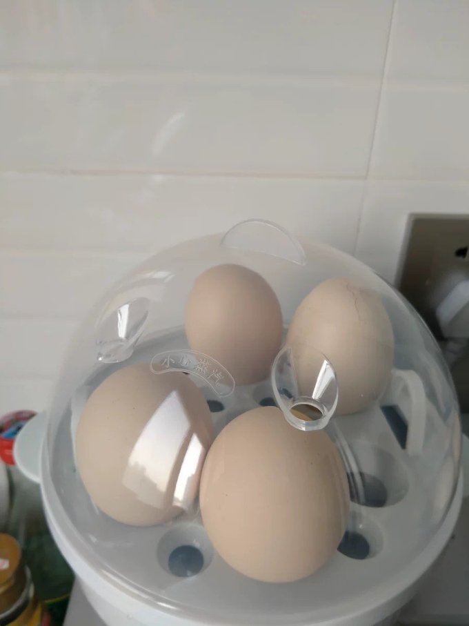奥克斯煮蛋器