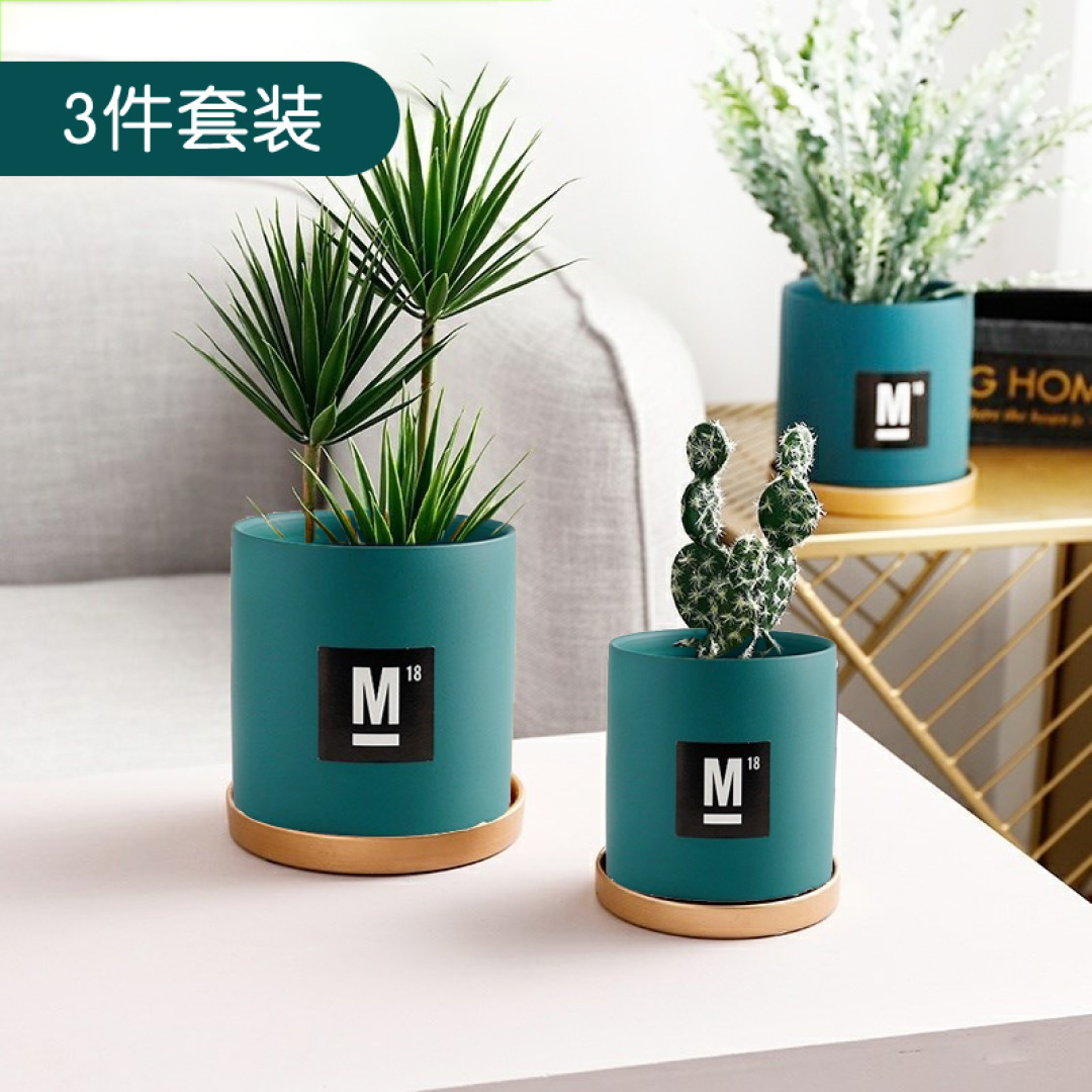 阳台种了很多花！现在还活着的花花们！