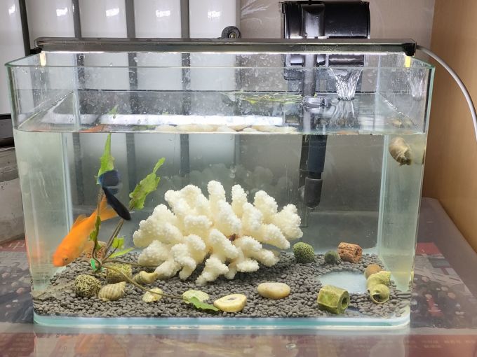 森森水族设备