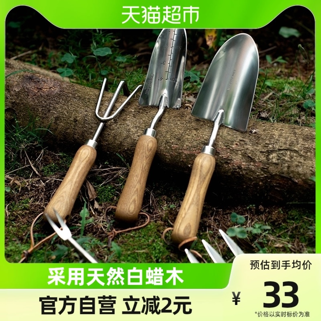 好养、好看、寓意好,三好植物安排