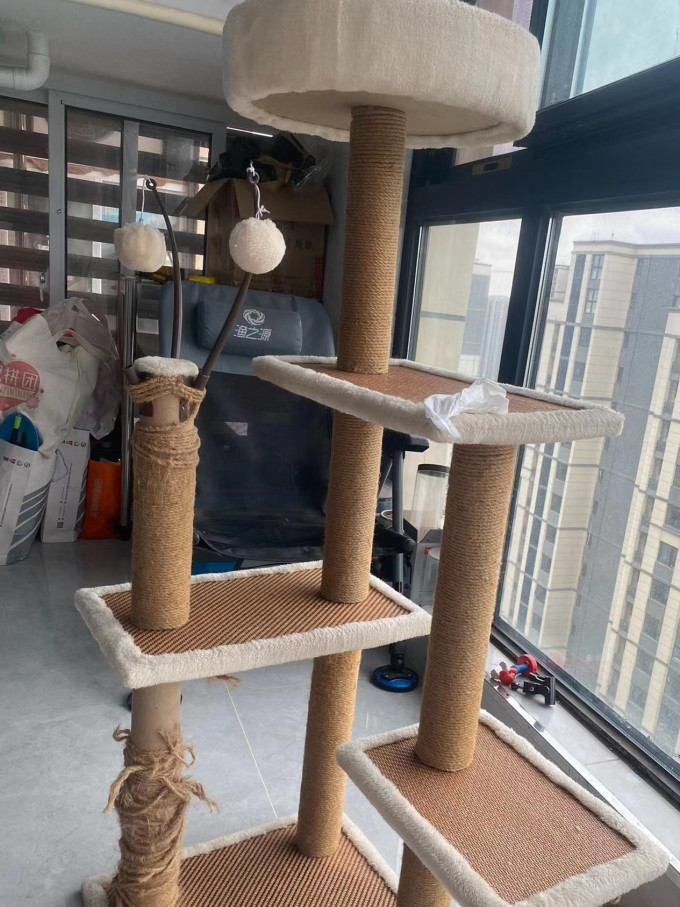 小许猫爬架