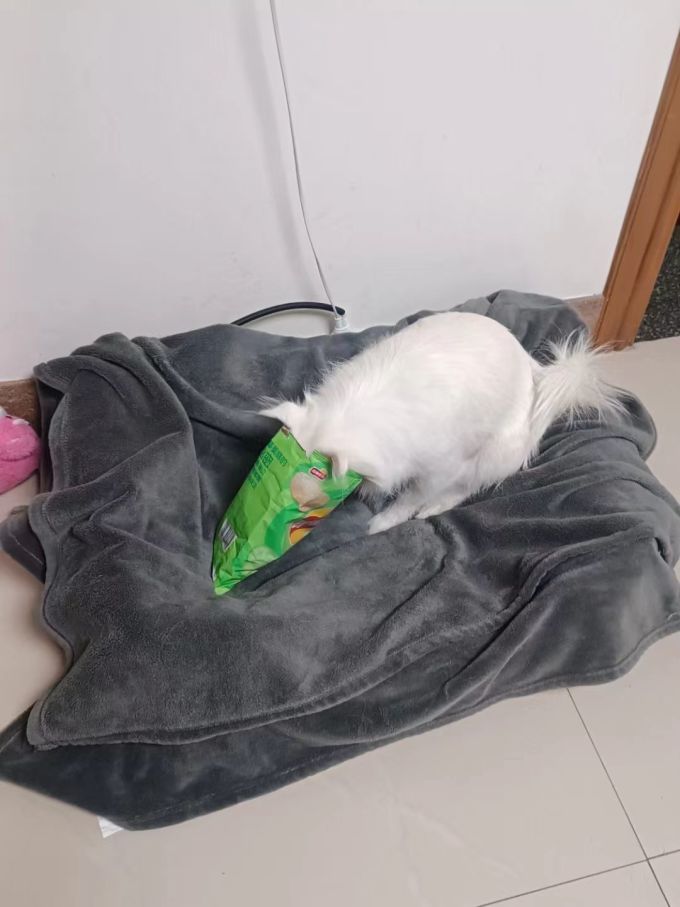 顽皮狗狗零食