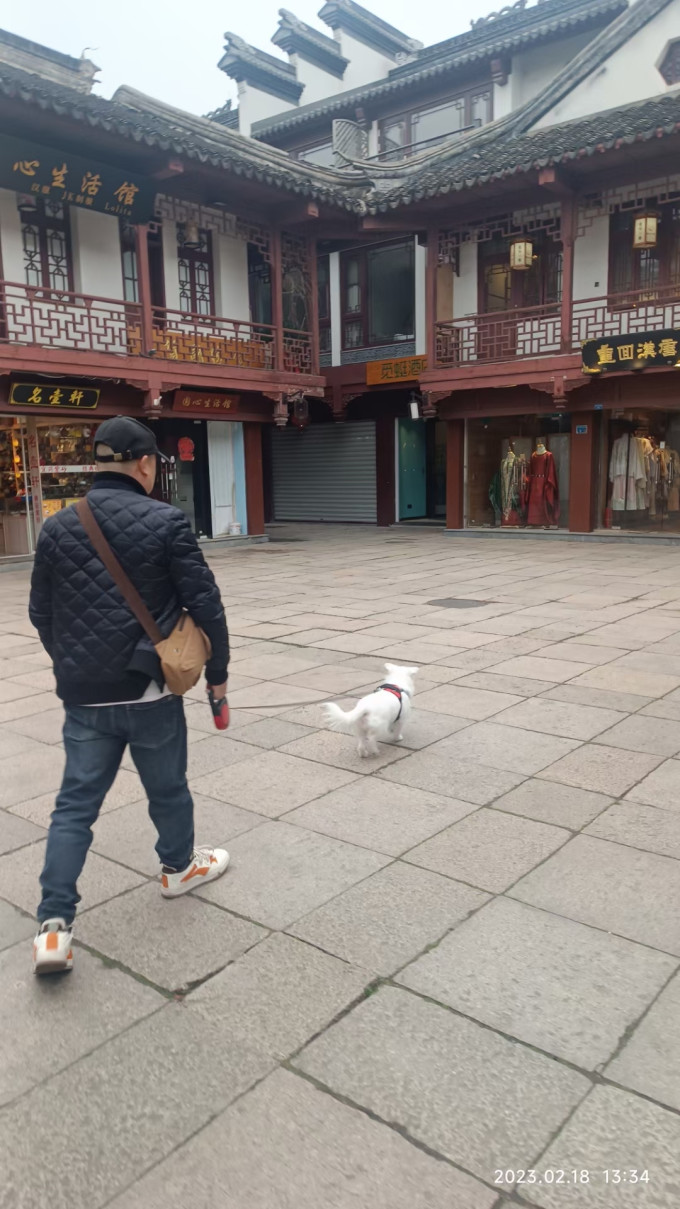 宠百思胸背牵引/项圈