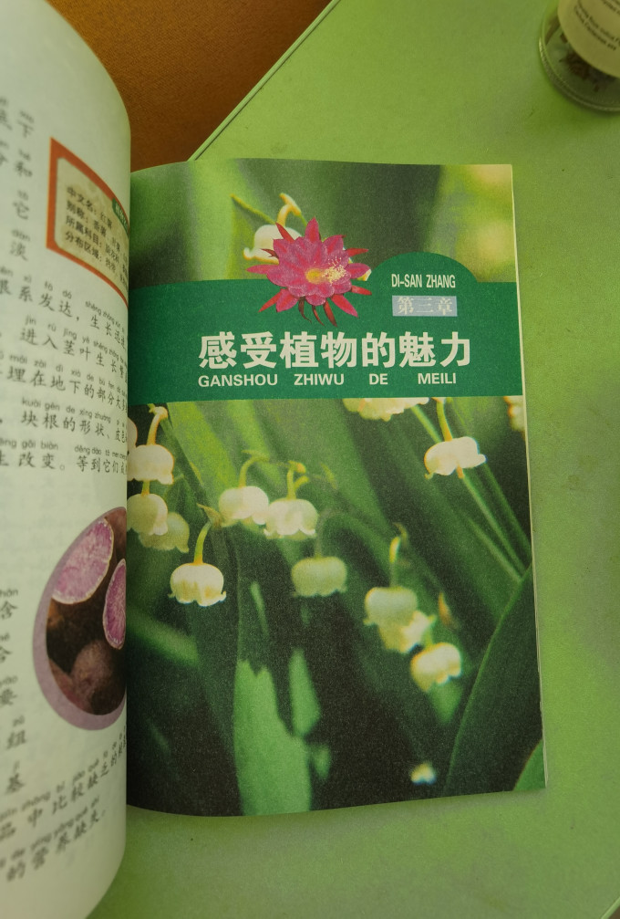 江西美术出版社绘本/图画书