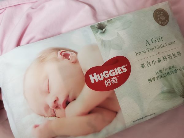 好用的拉拉裤，好奇小森林推荐
