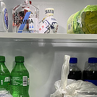 仅在夏天使用，放冷饮的备用冰箱