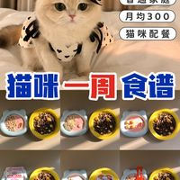 猫咪一周食谱分享|西米日常吃什么?