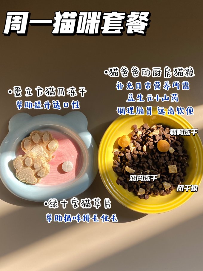 皇家猫咪干粮