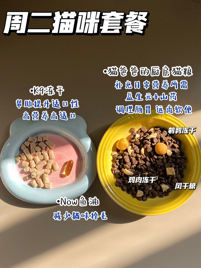 皇家猫咪干粮