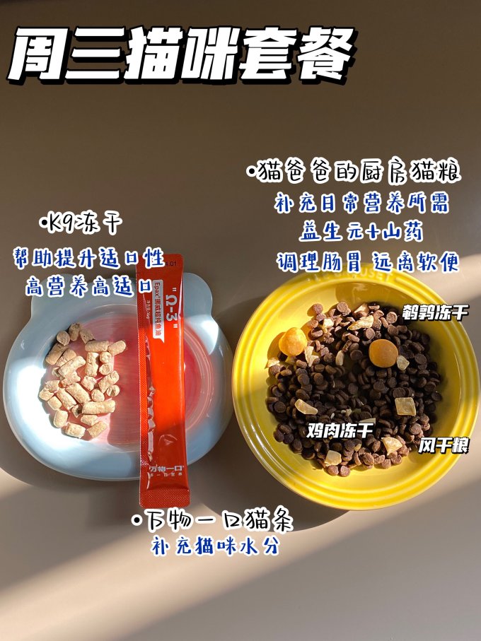 皇家猫咪干粮