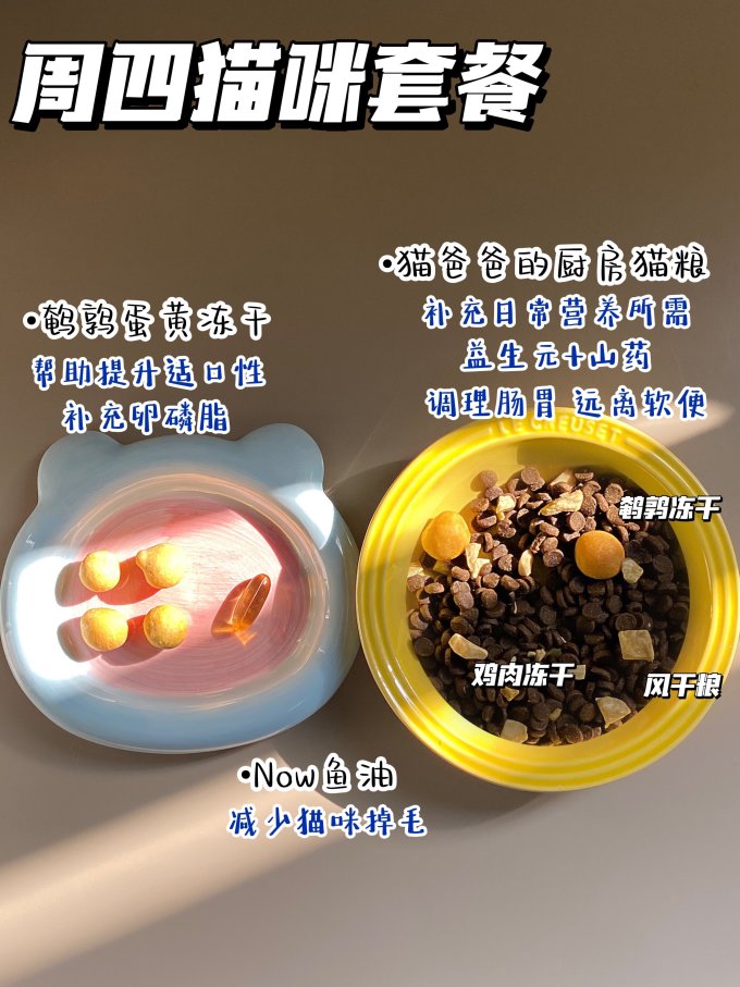 皇家猫咪干粮