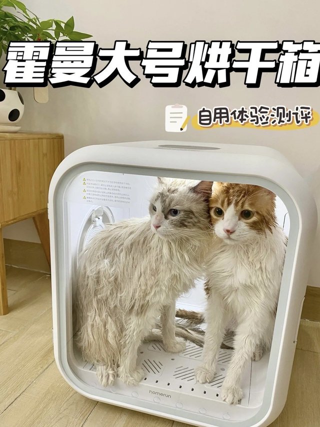 宠物烘干箱