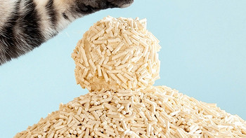 猫砂体验分享 篇一：寻找便宜好用的猫砂（1）