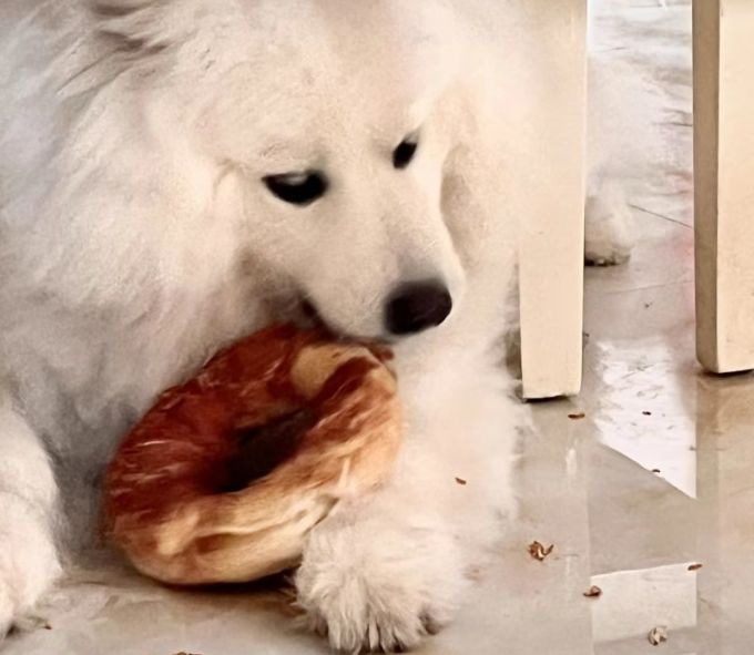 宠旺狗狗零食
