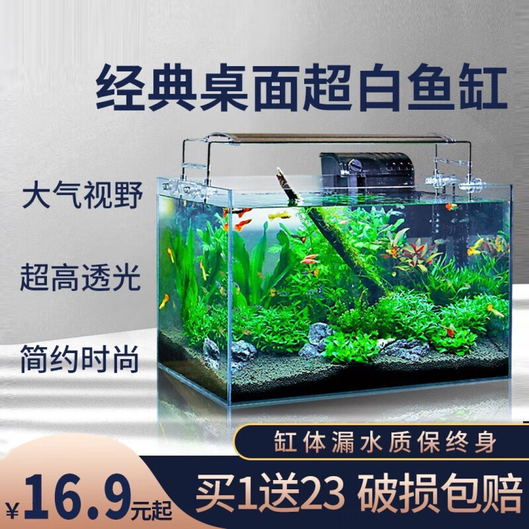 一个小缸,2棵水草,三个螺,搭建一个小型桌面水族箱