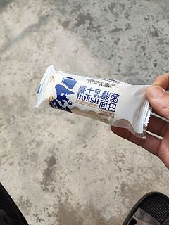 乳酸菌小面包