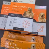家里有小猫小狗的朋友一定要买驱虫药