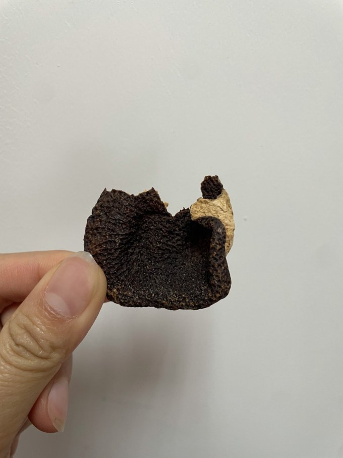 立香园红茶