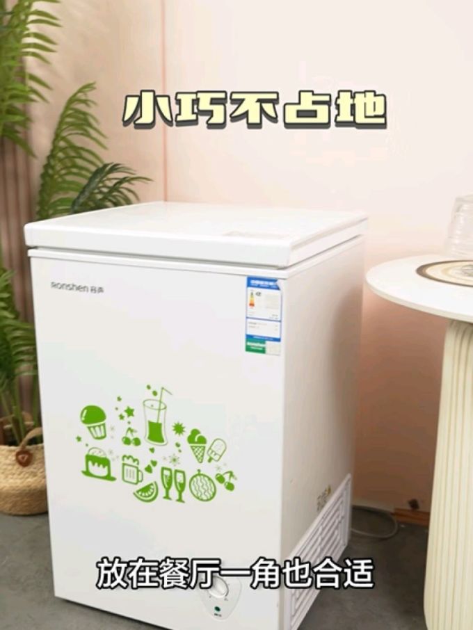 容声冷柜