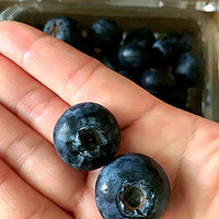 佳沃蓝莓🫐用眼过度吃蓝莓