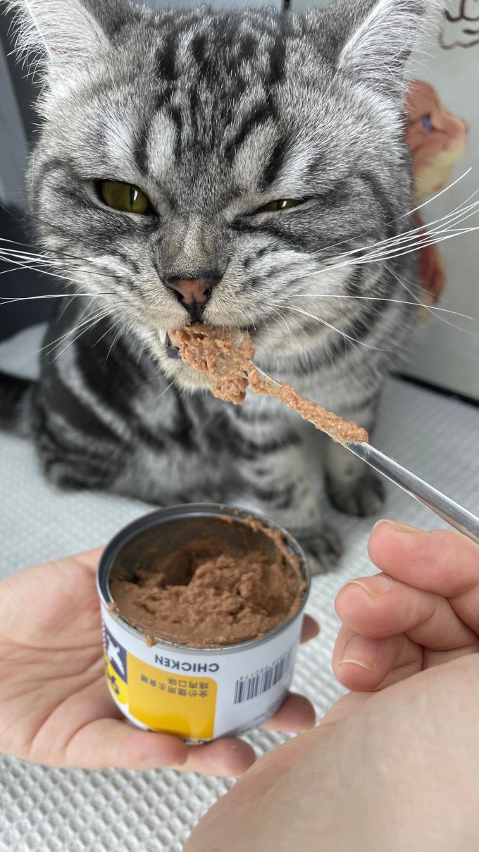 满趣健狗狗零食罐头