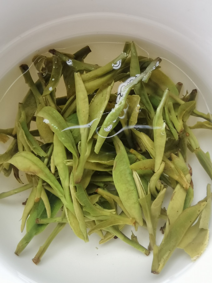 卢正浩茶类