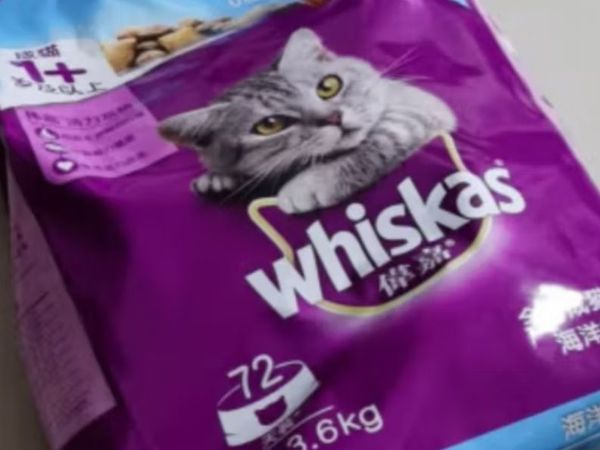 猫主子的主粮，还不错