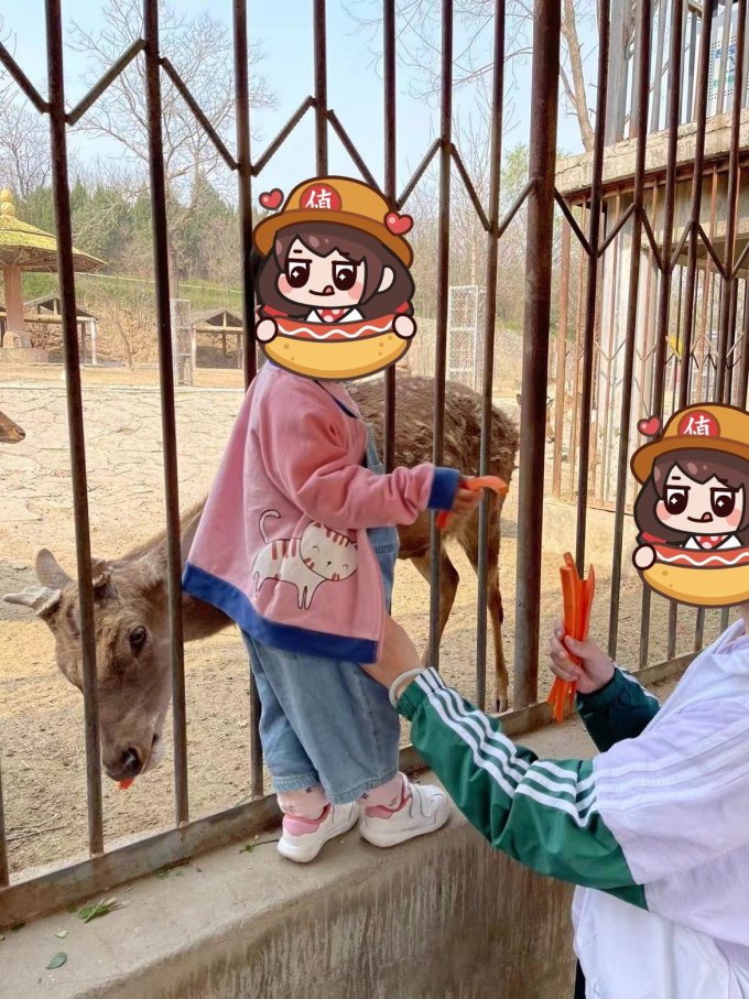 寿光蔬菜蔬菜