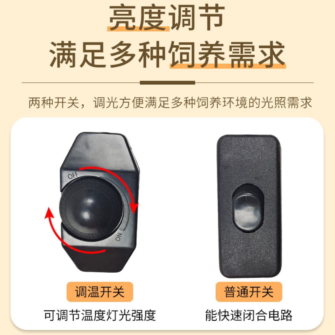 养乌龟好用的几个小工具!