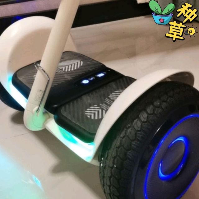 Ninebot 九号平衡车成人L8 儿童学生双车