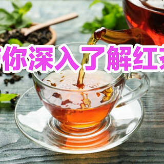 饮茶指南‖春日上新，看看有哪些值得入手的红茶，带你深入了解红茶