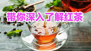 饮茶指南‖春日上新，看看有哪些值得入手的红茶，带你深入了解红茶