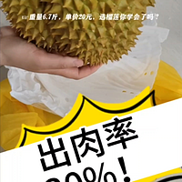 20元一斤的金枕榴莲A果，出肉率高达30％！