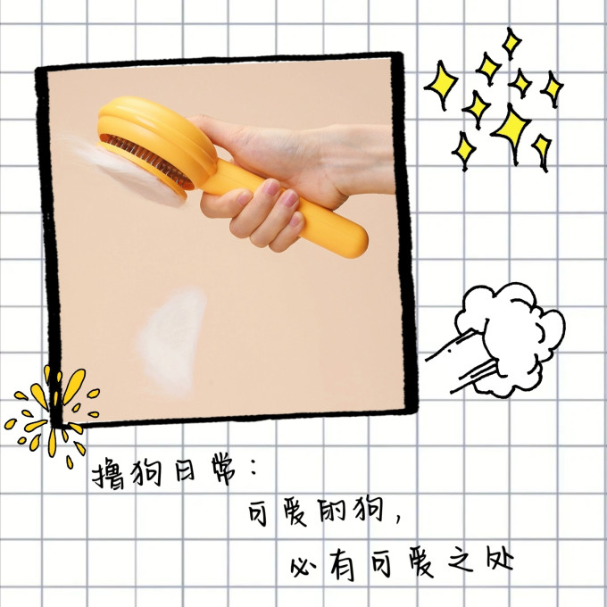 宠物美容工具